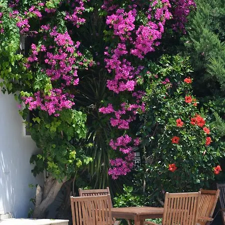 Hotel Centrale Bodrum 3* Bodrum